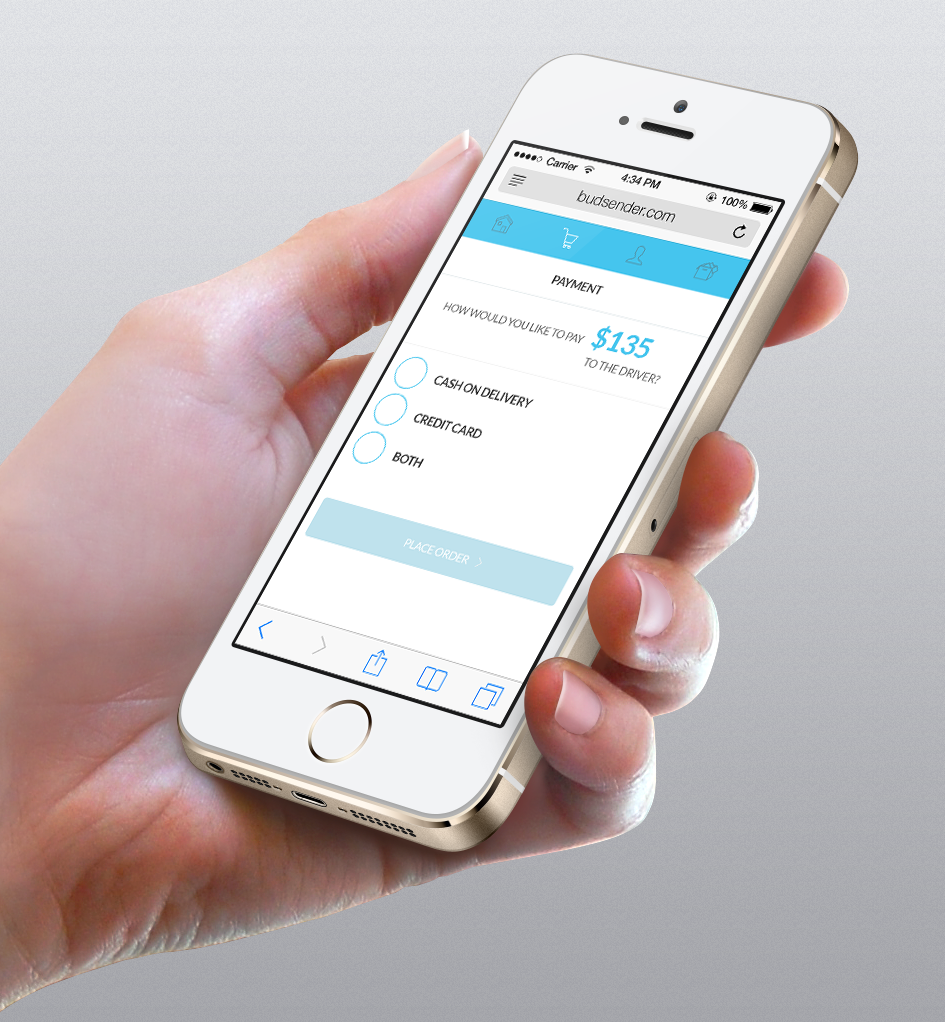 KushyPunch mockup screen 2